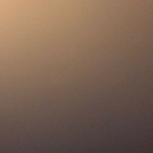 Meet your Posher, Yeneidi